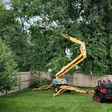 Trusted Ward, AR Tree Services Experts